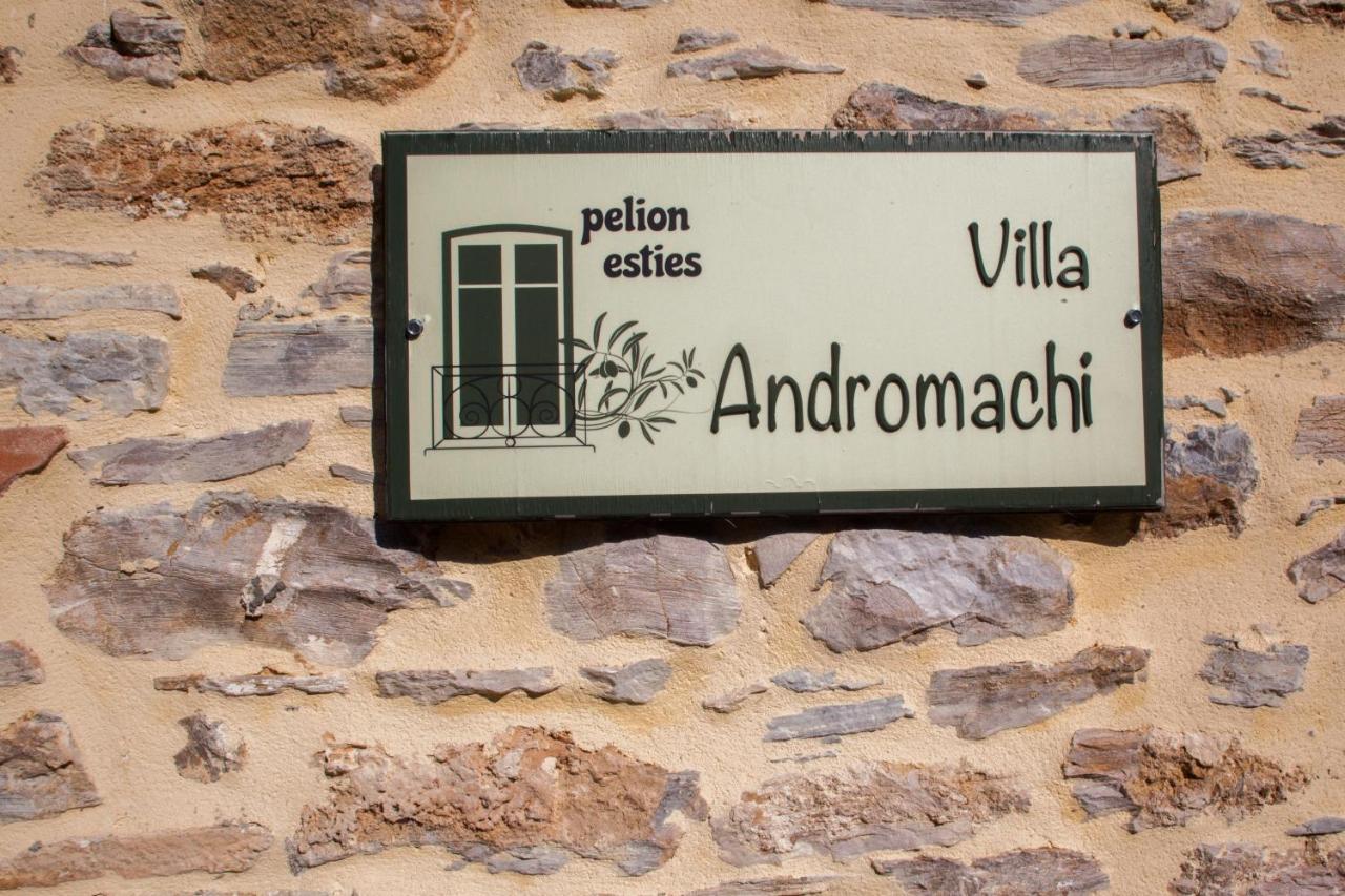 Villa Andromachi By Pelion Esties Ano Gatzea エクステリア 写真